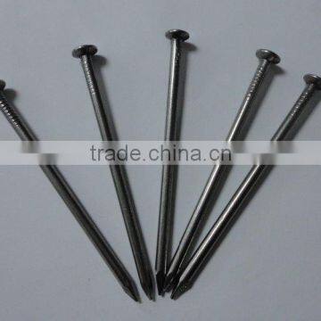 2.5" common nail professional product iron nails from china factory