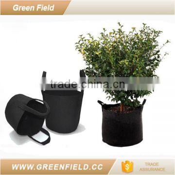home plant pots outside,vegetable plant pot