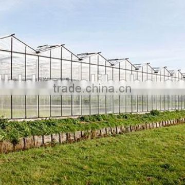 Multi Span Polycarbonate Green House Agriculture & Commercial Used Greenhouse