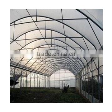 Hot sale film greenhouse for vegetables