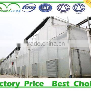 Commercial Greenhouses photo-6
