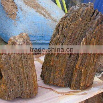 NATURAL STONE PETRIFIED WOOD TILES SLABS photo-5