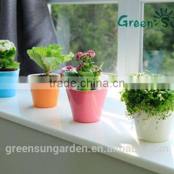 hydroponic bright color small plastic flower pot for home garden interior christmas decoration