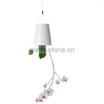 Plastic Sky Planter Creative Decorative Home Mini Sky Garden Flower Pot Beauty Sky Planter photo-6