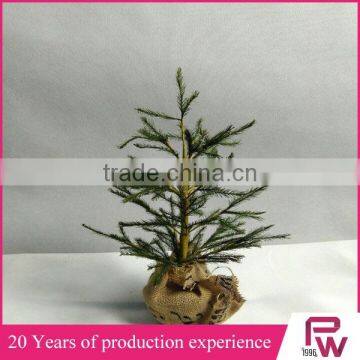 Mexican Christmas Crafts Plastic Pine Tree