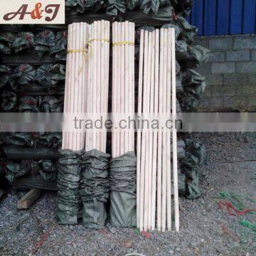 Polishing Long Hand Dustpan and Brush Set Tapered Bottom End