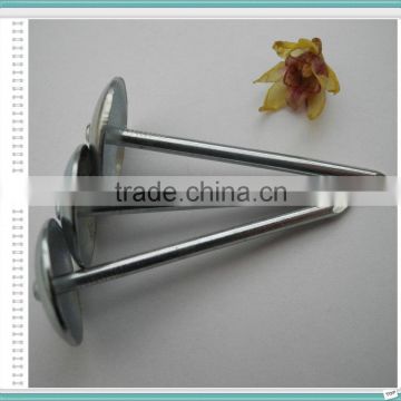 Electric Galvanized Roofing Nails