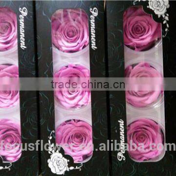 6-7 cm Preserved Rose Big Bud Red Rose With A Grad Quality From Kunming photo-2