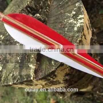 Nature Bamboo Arrows With Three Different Weights Screw-in Points And Brass Inserts photo-3