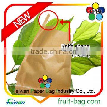 Small Bag Taiwan Factory Wax Apple Protection Paper Bag Custom Packaging Bag photo-6
