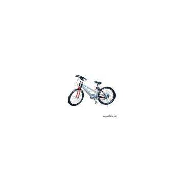 Sell Electric Bicycle photo-1