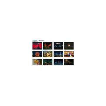 Customized Stereoscopic Motion 5D Cinema Film For 360 Degree / Ball Screen