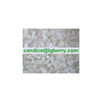 Natural Rice Protein Powder