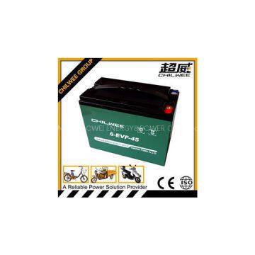 SLA Lead Acid Electric Bicycle Battery