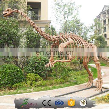 KAWAH Museum Exhibition Display Fake Fiberglass Dinosaur Bone photo-3