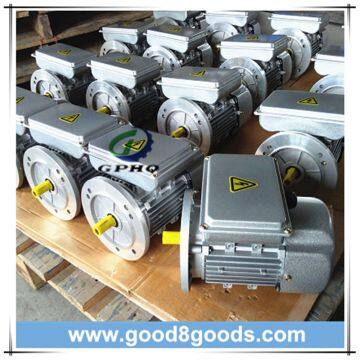 Gphq Ml Single-Phase Motor photo-4