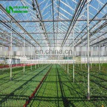 Large Size and Glass Cover Material Agricultural Greenhouses