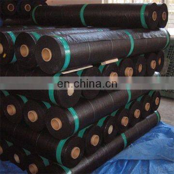 frost protective fabric black ground cover