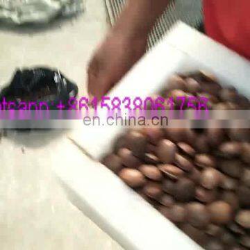 Sacha Inchi nuts shelling machine