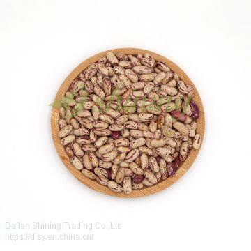 New Crop Hot Sale Good Quality Light Speckled Kidney Beans