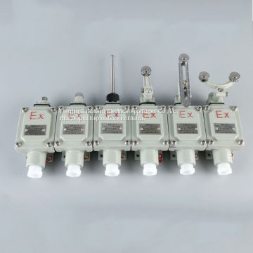 Explosion-proof travel switch limit switch bzx51-5d 5L 5Z 5N 5S 5T Explosion-proof proximity switch with double rocker arms