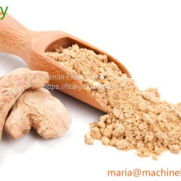 Bulk Ginger Powder Wholesale Price