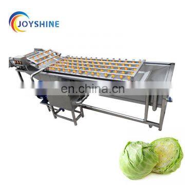 Commerical Automatic Leafy and Root Vegetable Chili Lettuce Spinach Carrot Cucumber Washing Machine photo-2