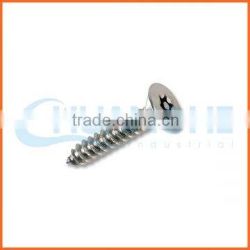 China supplier hexagon stainless steel socket anti-theft screw