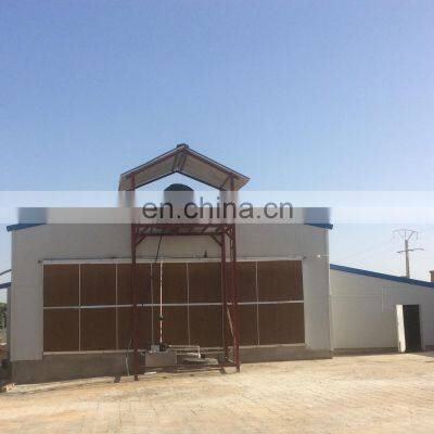 China low cost commercial steel structure egg chicken poultry house design shed for layers