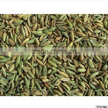 Fennel Seed photo-2