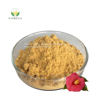 Support OEM ODM Natural 120 Mesh Broken Wall Camellia Pollen Extract Powder