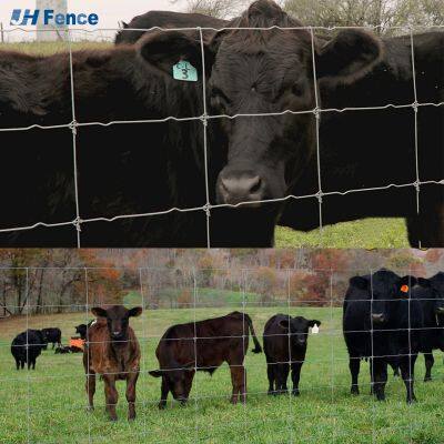 Galvanized Grassland Wire Mesh Fence for Cattle, Sheep, and Deer Farm photo-2