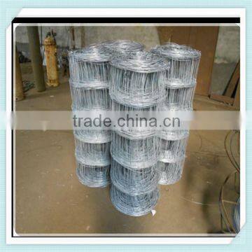 Hot dippped galvanized cattle l mesh fence/sheep mesh/cattle fence