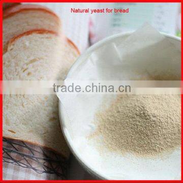 Natural yeast for bread