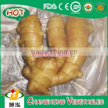 150g Fresh Ginger with 10kg/mesh bag for Middle East Market