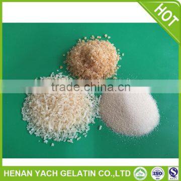 Hot selling food gelatin with great price