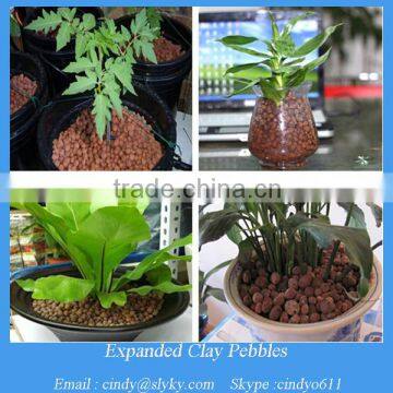 4-20 mm red clay pellets ball fertilizer in miniature pot