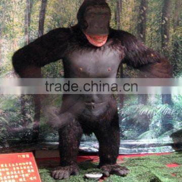 Animatronic Gorilla for Sale