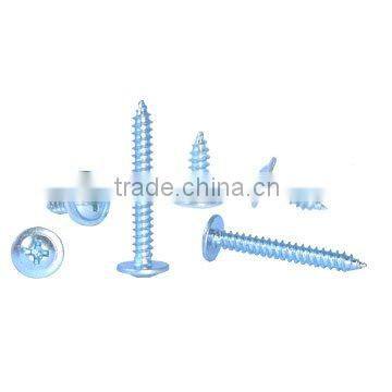 Self Tapping Screw