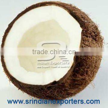 Where to Purchase Semi Husked Coconuts