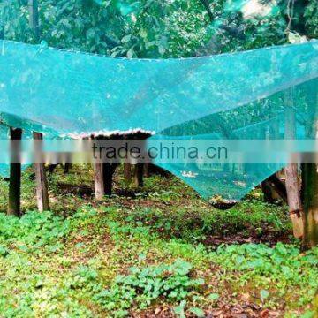 Plastic agriculture olive netting