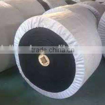 Acid and Alkali Resistant Conveyor Belt photo-2