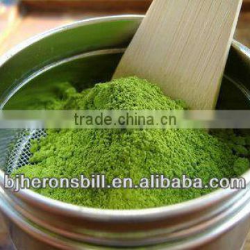 Matcha green tea extract powder