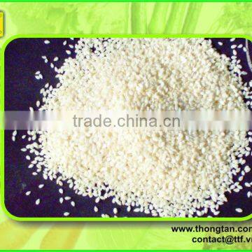 High quality of white sesame seeds