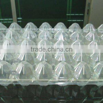 4/6/8/12 /15/18/20/30holes plastic disposable pet quail egg tray