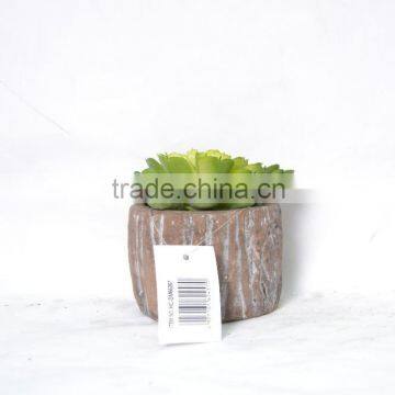 Green Artificial Succulent Plant In Round Pot