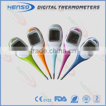 Jumbo digital thermometer