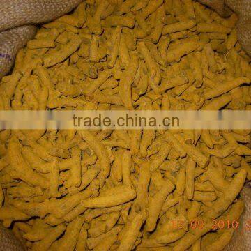 turmeric double polished finger nizamabad variety