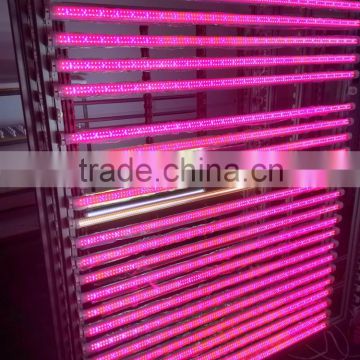 4ft 18w t8 led led grow tube light red blue color ratio 7:1