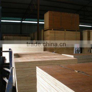 Packing Plywood with Eucalyptus core